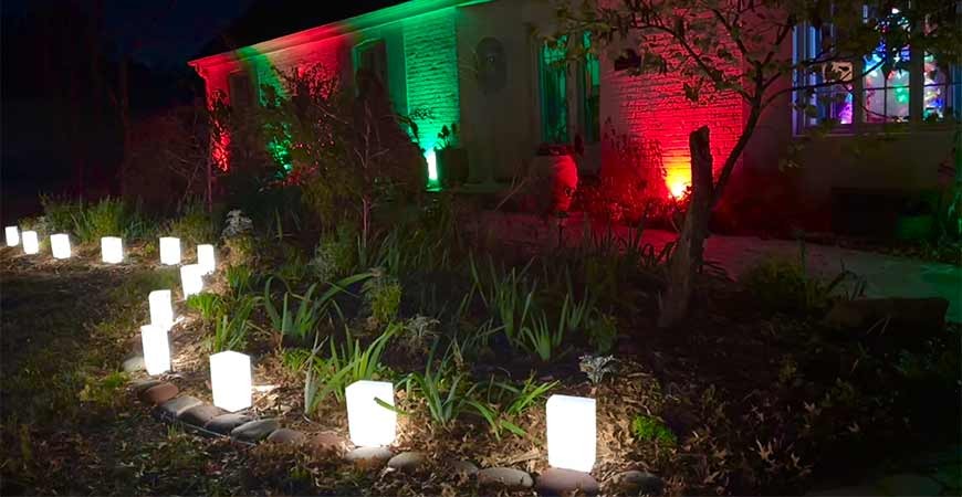 FLIC FLAME LED Bulbs: Bring Your Luminaries to Life!