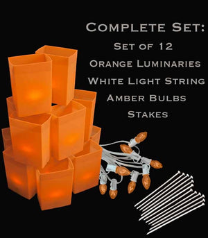 Set of 12 Orange Luminaries, White Light String with Amber Bulbs, Stakes