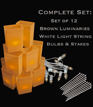 Set of 12 Brown Luminaries, White Light String with Bulbs, Stakes