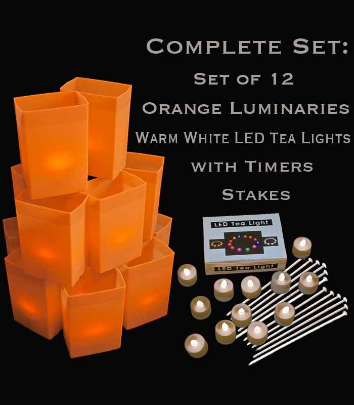Set of 12 Orange Luminaries, Warm White LED Tea Lights with Timers, Stakes