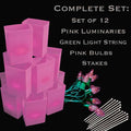 Set of 12 Pink Luminaries, Green Light String, Pink Bulbs & Stakes