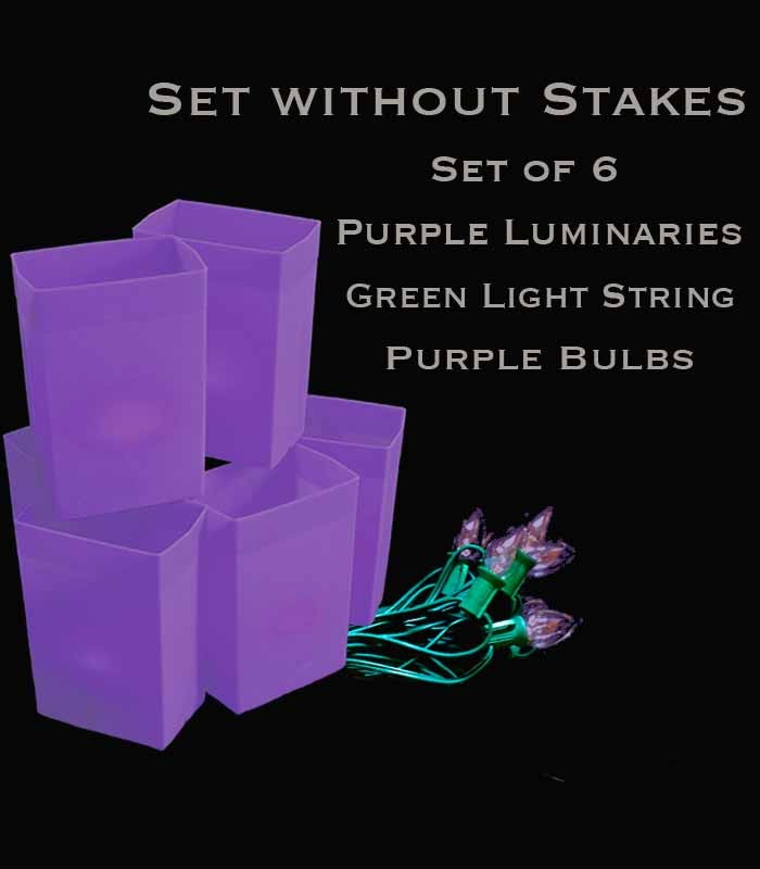 Set of 6 Purple Luminaries, Green Light String, Purple Bulbs