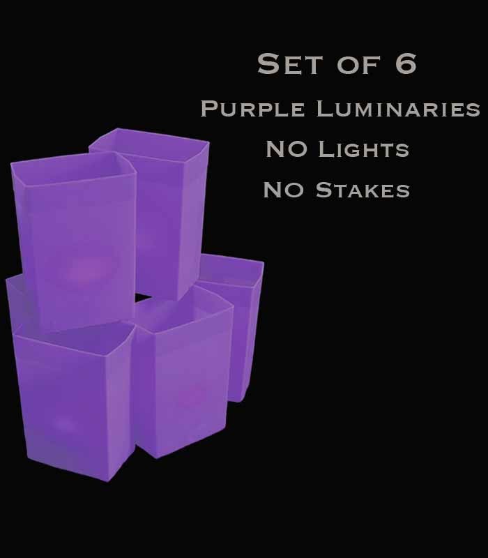 Set of 6 Purple Luminaries, No Lights, No Stakes