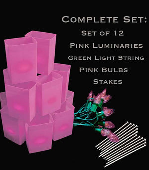 Set of 12 Pink Luminaries, Green Light Strings with Pink Bulbs, Stakes