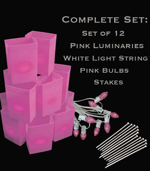 Set of 12 Pink Luminaries, White Light Strings with Pink Bulbs, Stakes