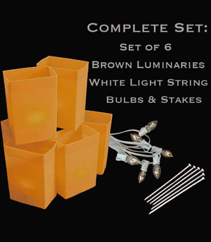 Set of 6 Brown Luminaries, white light string with clear bulbs, stakes