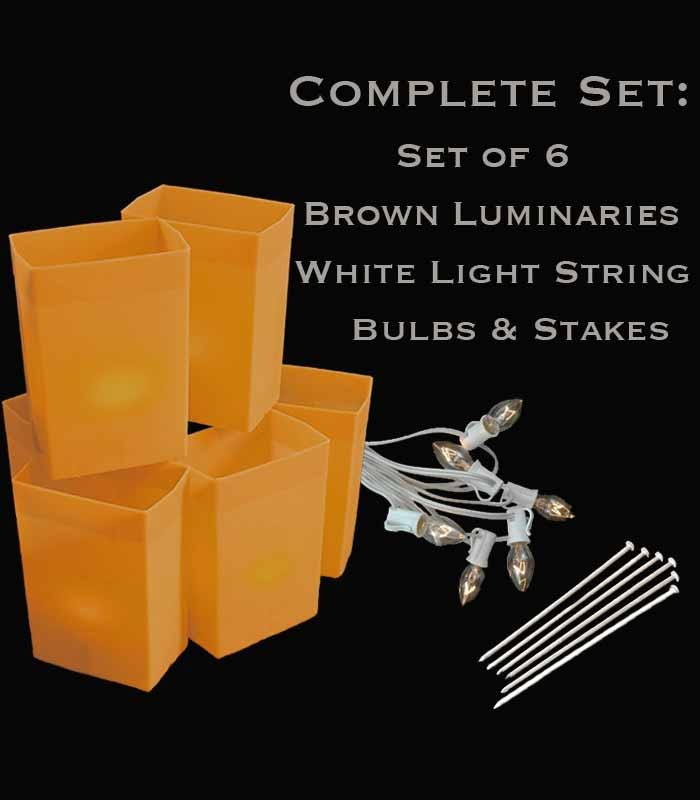 Set of 6 Brown Luminaries, white light string with clear bulbs, stakes