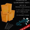 Set of 6 Brown Luminaries, Light String, LED Bulbs & Stakes
