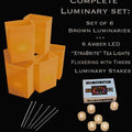 Set of 6 Brown Luminaries, "XtraBrite" Amber LED Tea Lights w/ Timers & Stakes