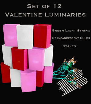 Set of 12 Valentine Luminaries, Green Light String and Bulbs, Stakes