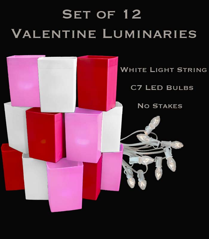 Set of 12 Valentine Luminaries, White Light String and LED Bulbs, No Stakes