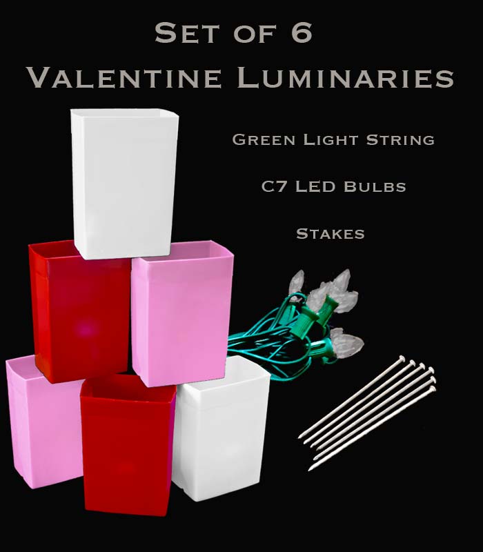 Set of 6 Valentine Luminaries, Green Light String and LED Bulbs, Stakes