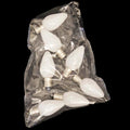 Set of 7 LED C7 Warm White Bulbs