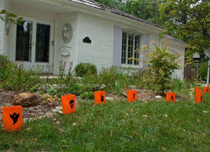 Set of 6 Halloween Luminaries