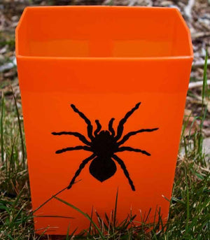 Set of 6 Halloween Luminaries