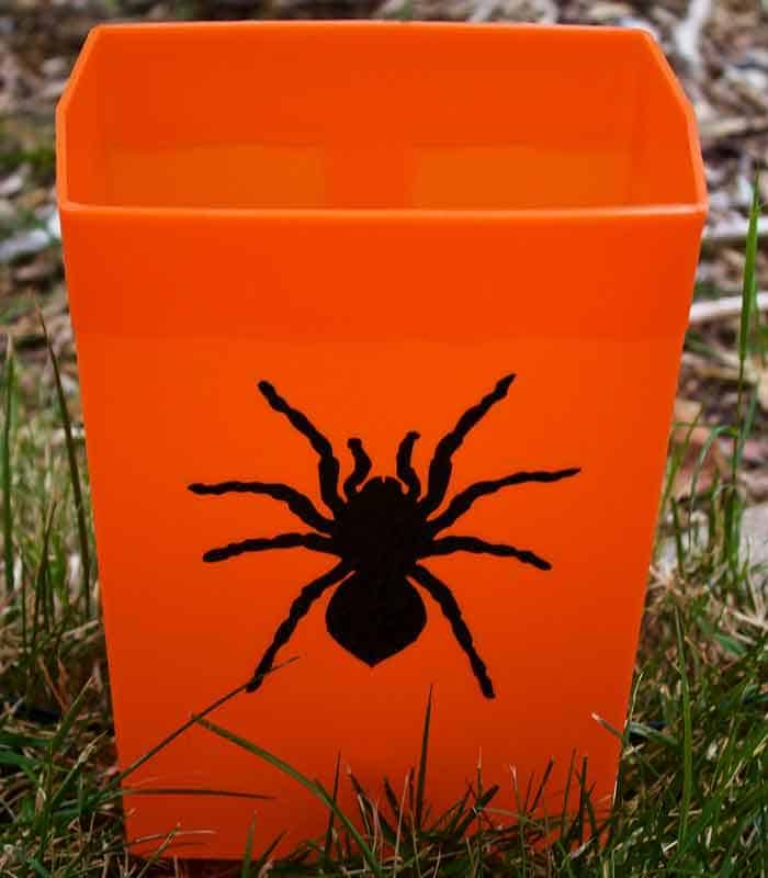 Set of 6 Halloween Luminaries