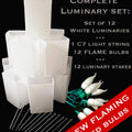 Set of 12 White Luminaries, Green Light String, White FLAME LED Bulbs & Stakes